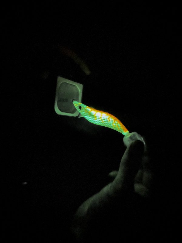 Hart Caja de carga UV-Solarium - Imagen 2