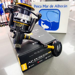Ryobi AP Power SW Strong 6000